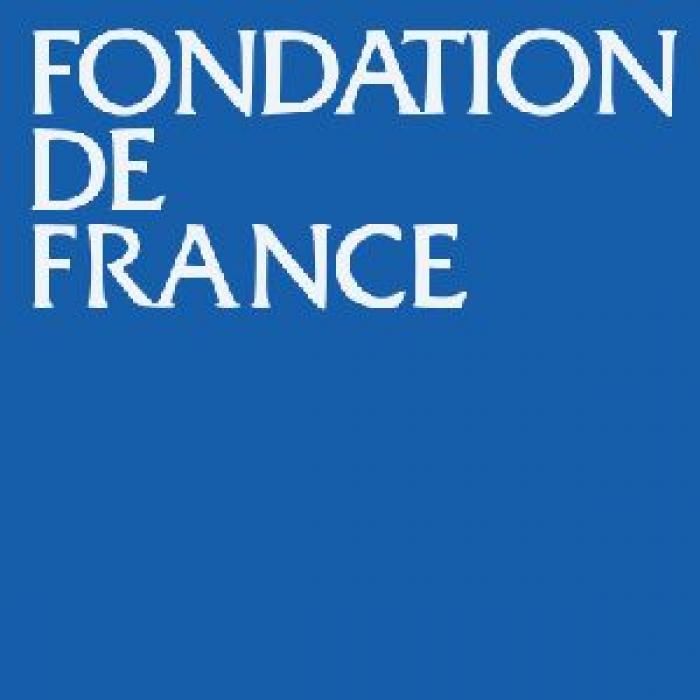 la-fondation-de-france-presentation-et-actions-3576-700x700c